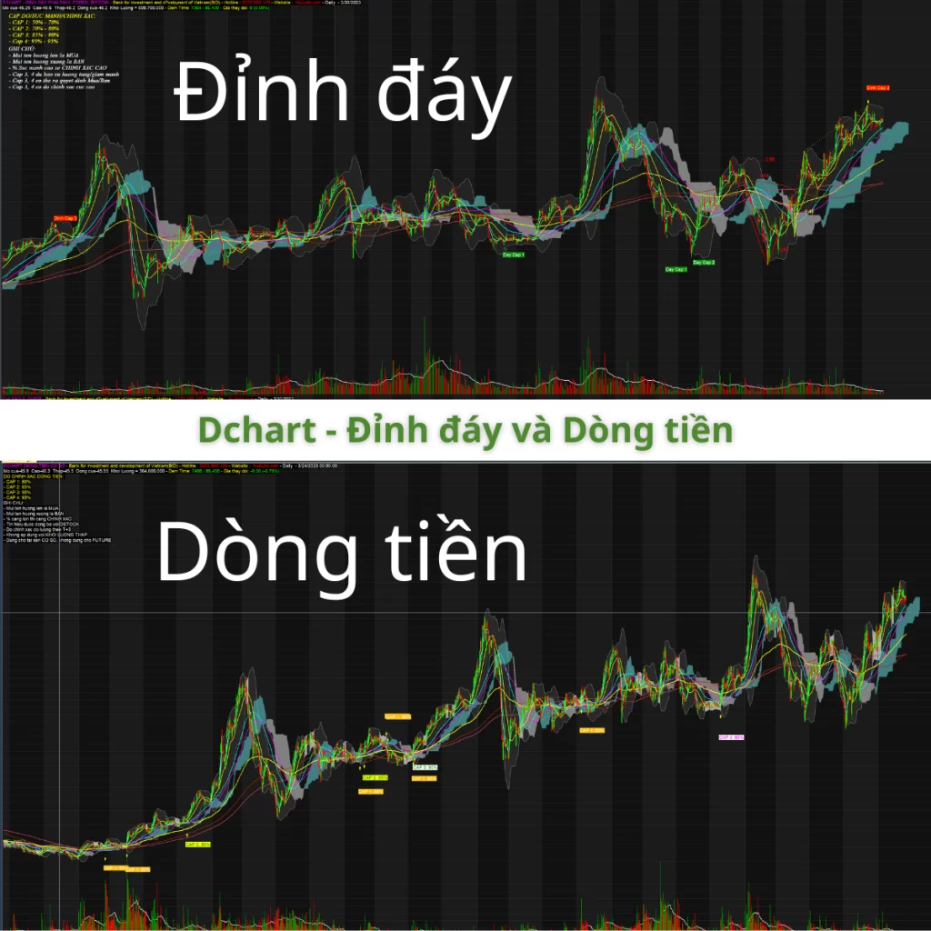 Đào tạo chứng khoán D-ACADEMY