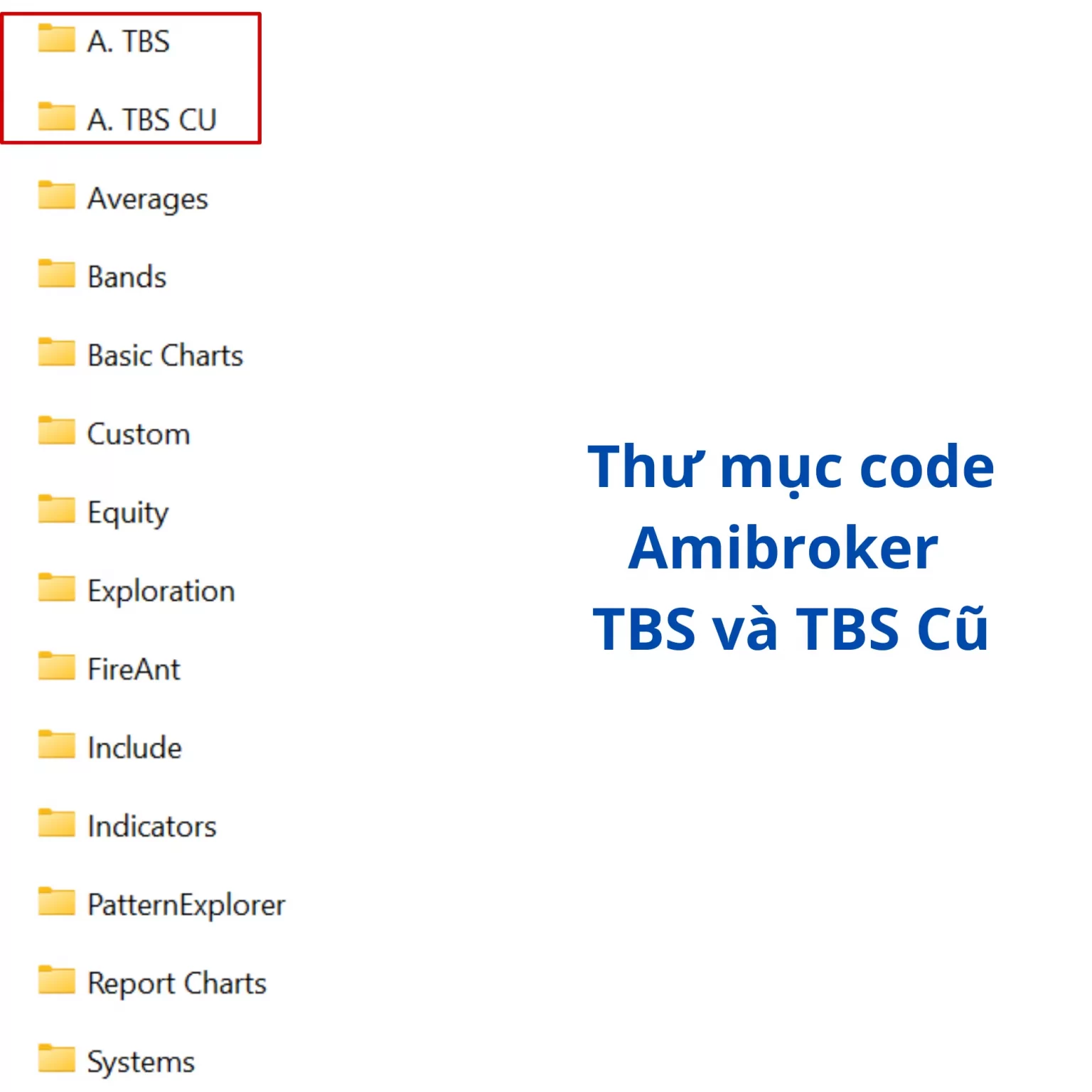 ẢNH GIỚI THIỆU TBS 1