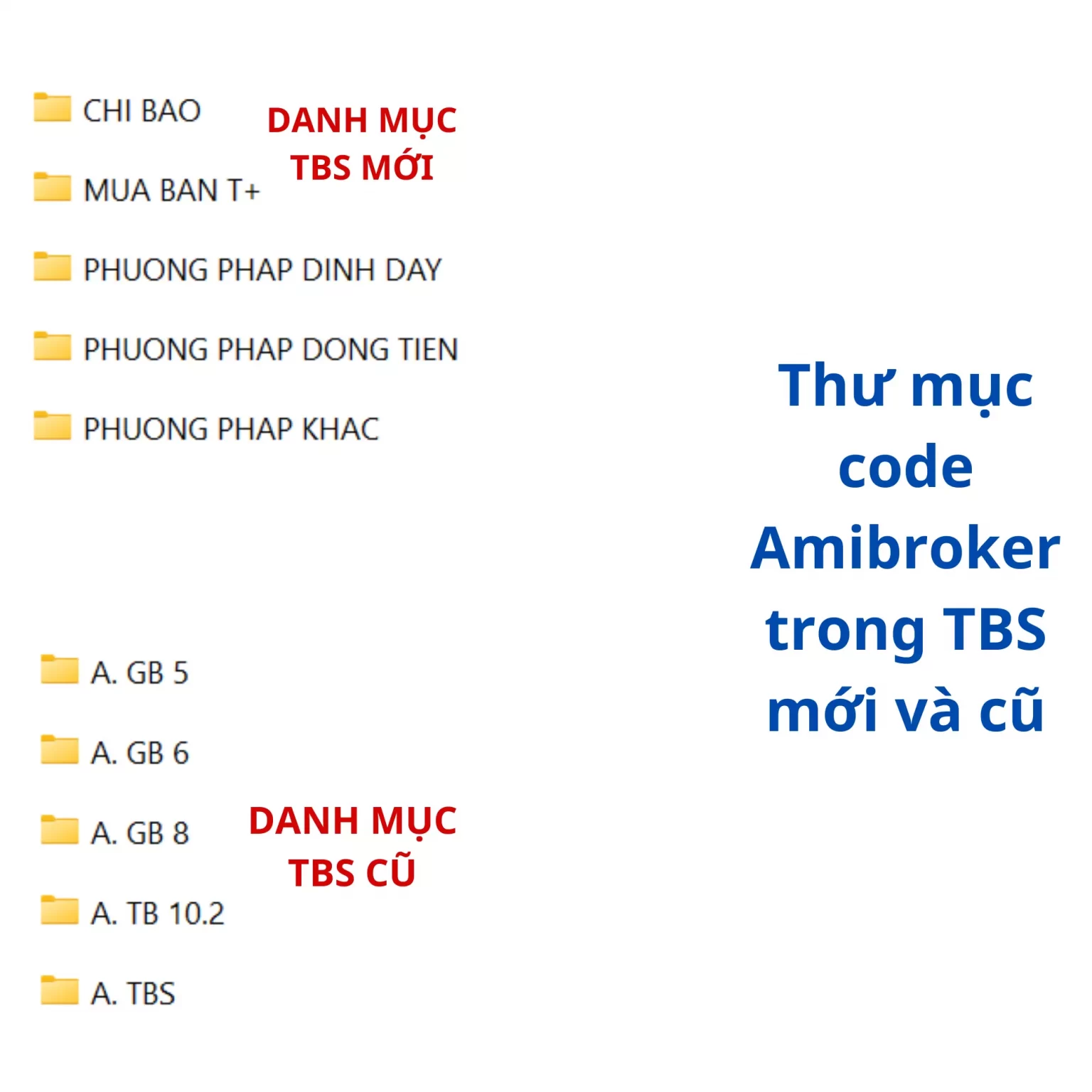 ẢNH GIỚI THIỆU TBS 2